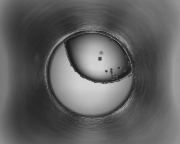 X0000093480981200710120951