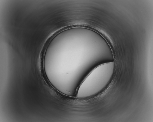 X0000093480983200710120951