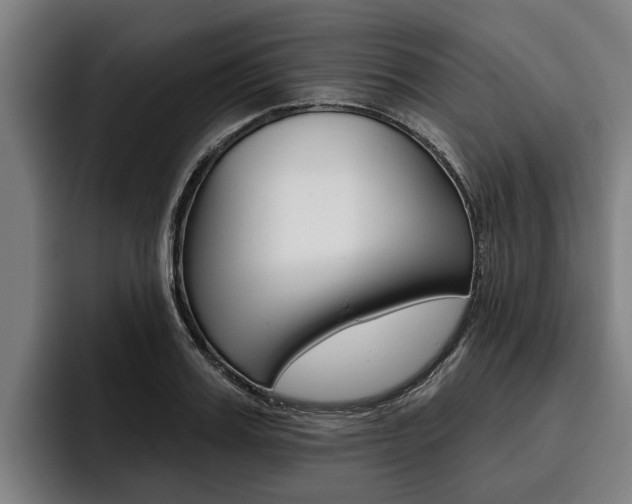 X0000093480987200710120951