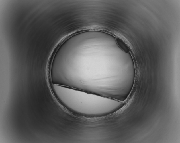 X0000093480989200710120951