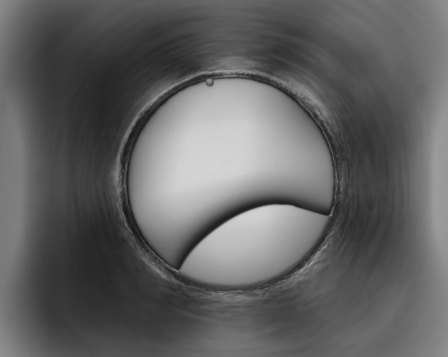 X0000093480990200710120951
