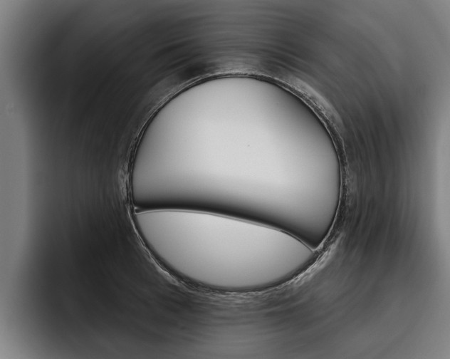 X0000093480993200710120951