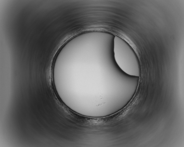 X0000093480994200710120951