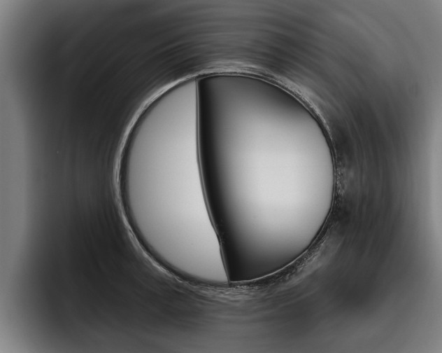 X0000093480995200710120951