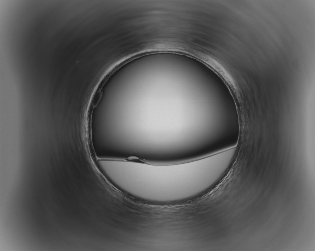 X0000093480996200710120951