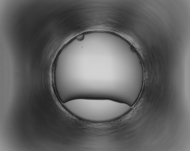 X0000093480998200710120951