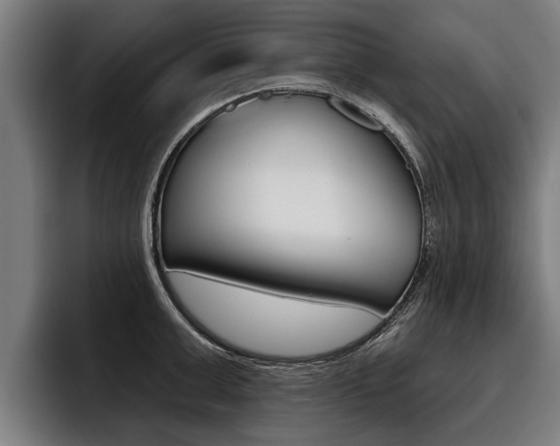X0000093480999200710120951