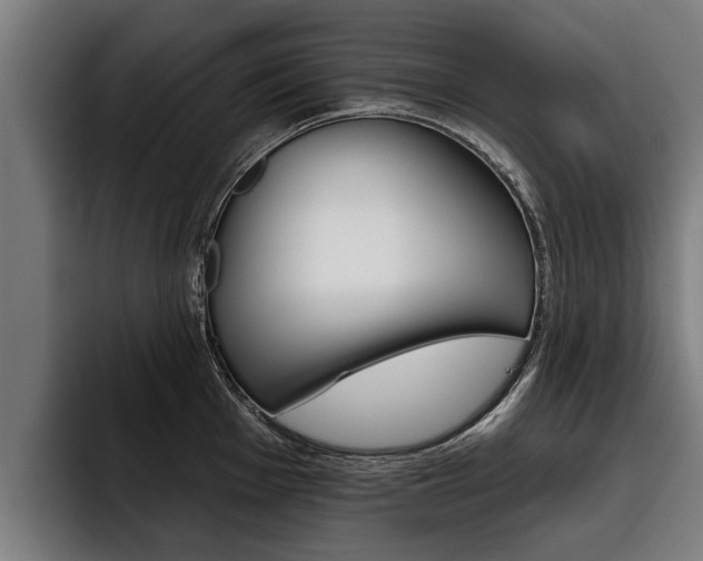 X0000093481001200710120951