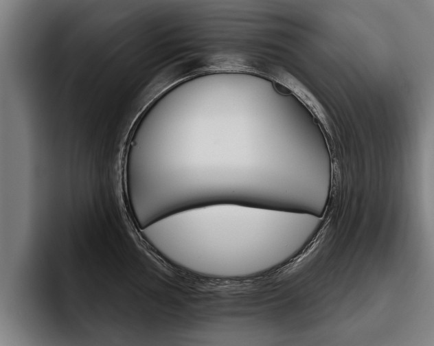 X0000093481002200710120951