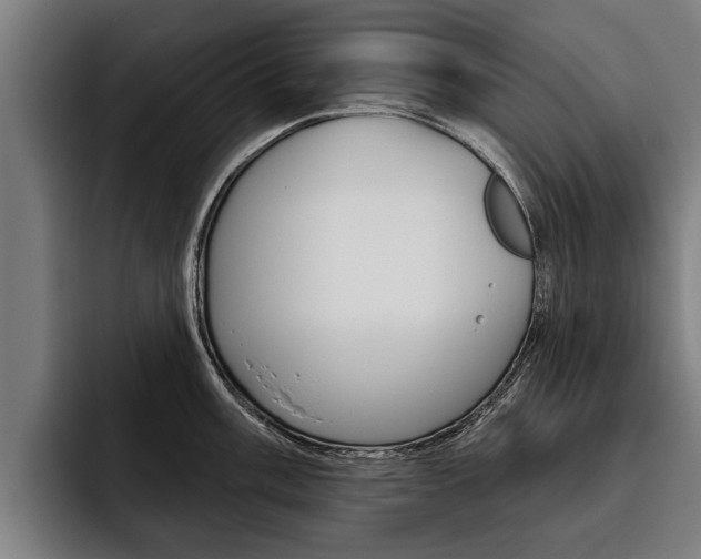 X0000093481003200710120951