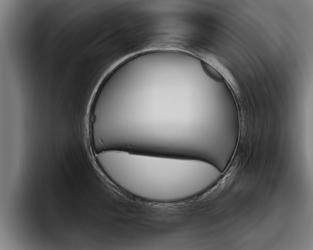 X0000093481004200710120951