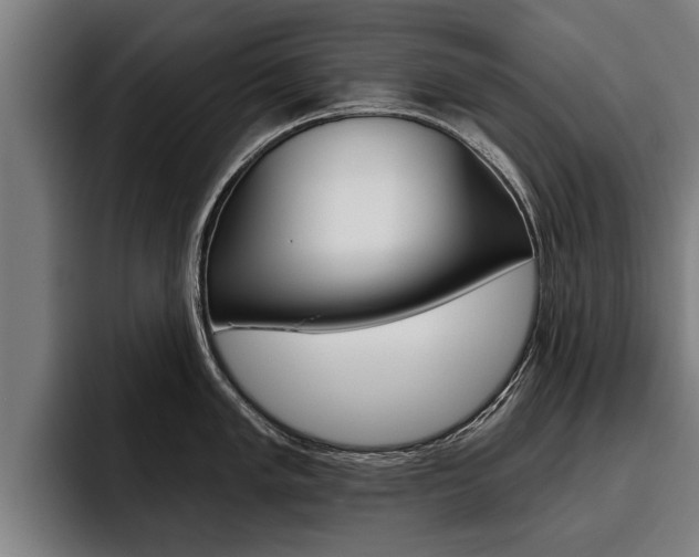 X0000093481005200710120951