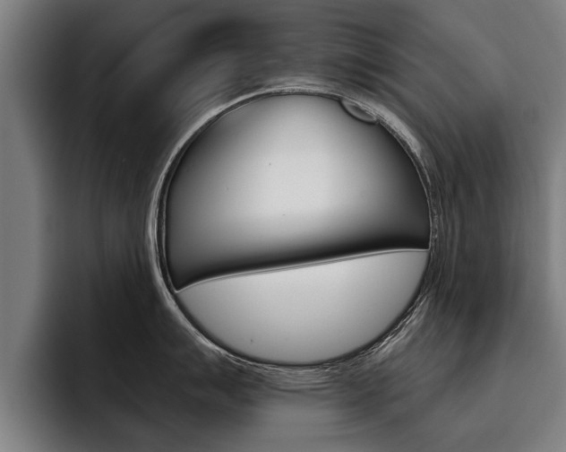 X0000093481007200710120951