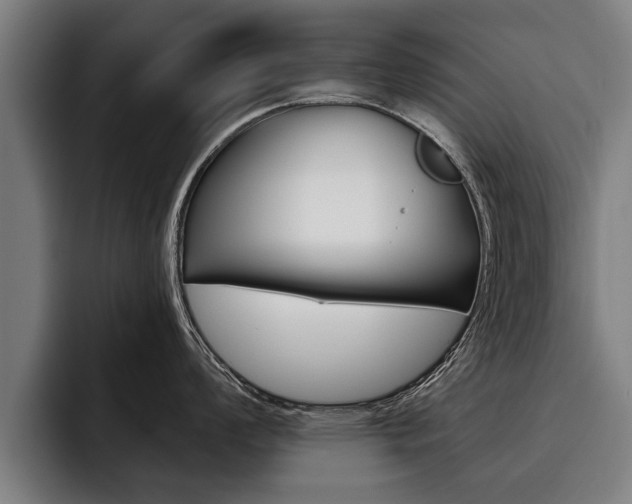 X0000093481008200710120951