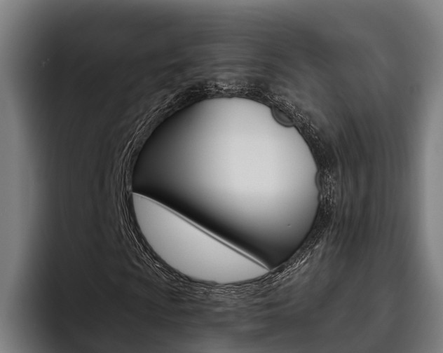 X0000093481009200710120950