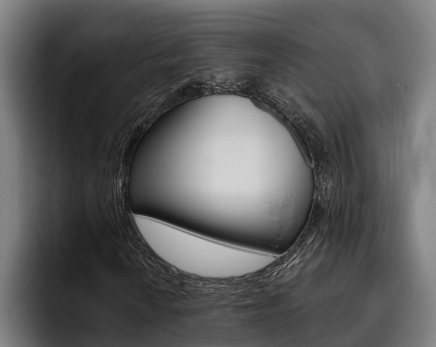 X0000093481010200710120950