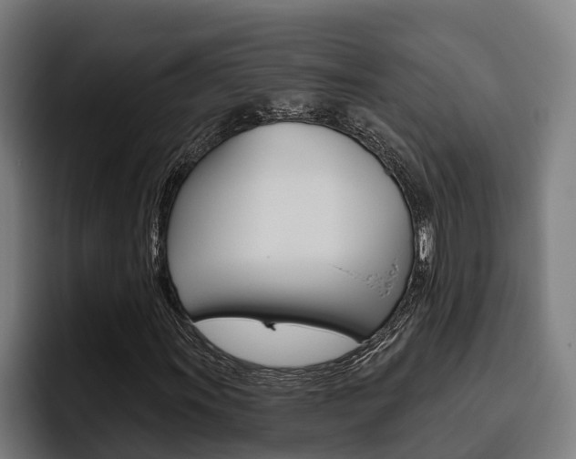 X0000093481011200710120950