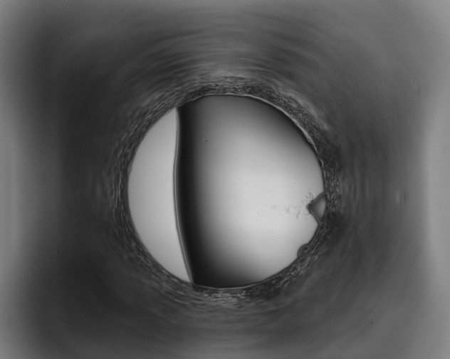 X0000093481013200710120950