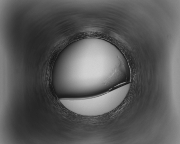 X0000093481014200710120950