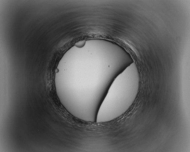 X0000093481015200710120950