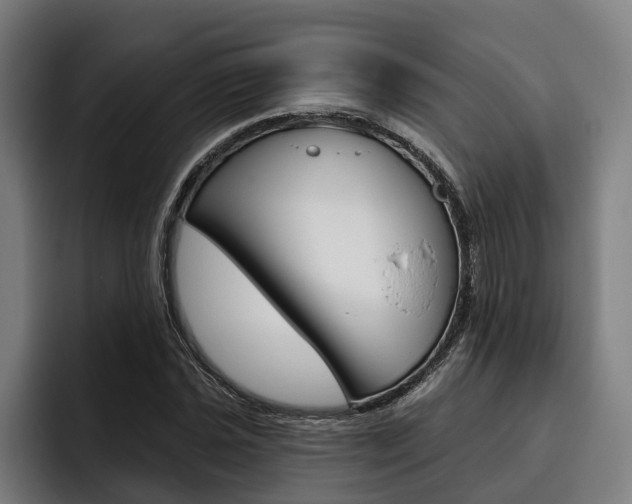 X0000093481021200710120950