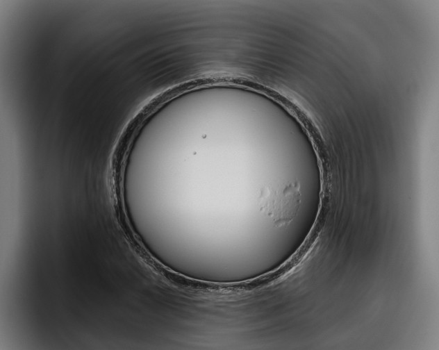 X0000093481022200710120950