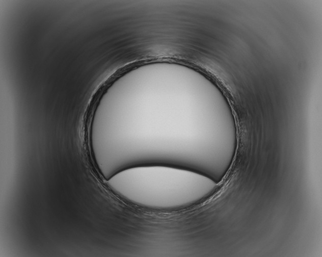 X0000093481023200710120950