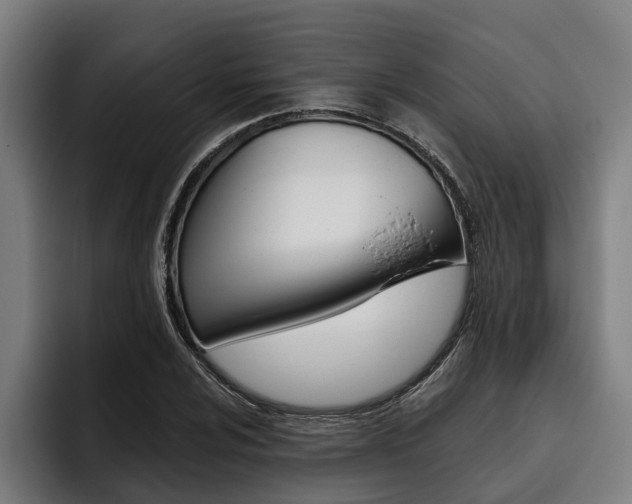 X0000093481024200710120951