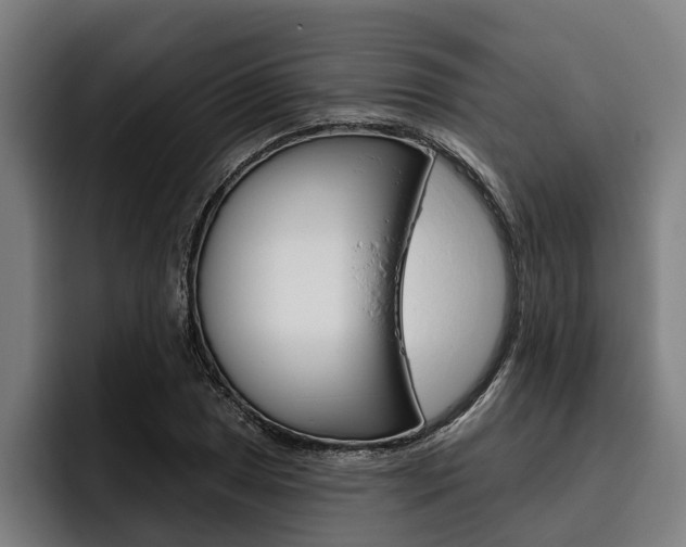 X0000093481025200710120951