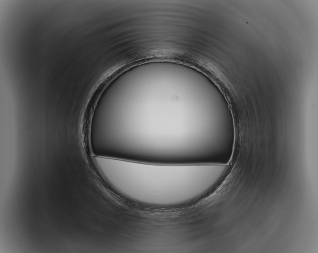 X0000093481026200710120951