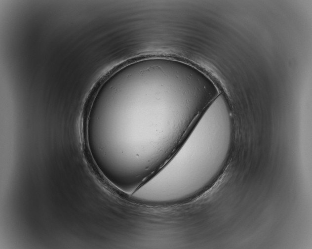 X0000093481030200710120951