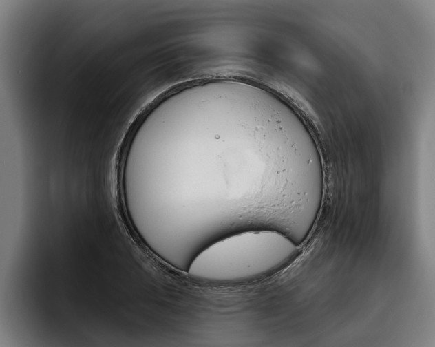 X0000093481031200710120951