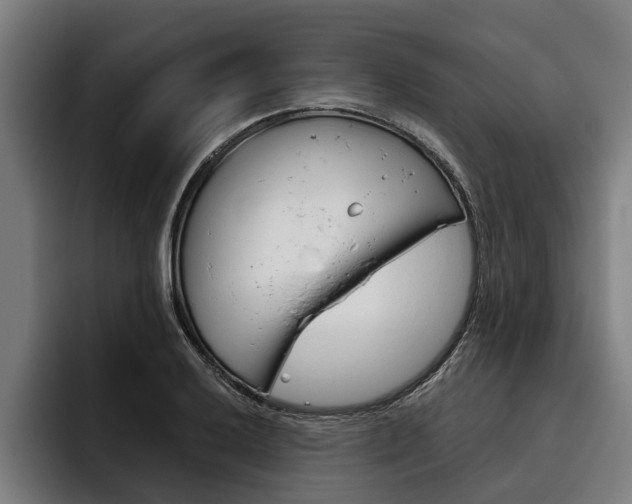 X0000093481032200710120951