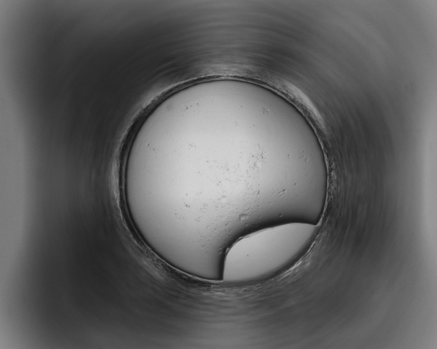 X0000093481035200710120951