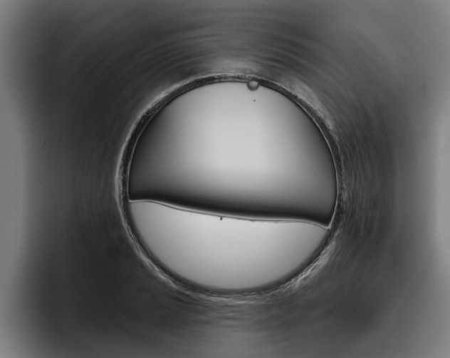 X0000093481037200710120951