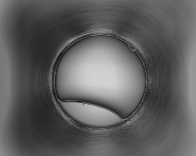 X0000093481038200710120951