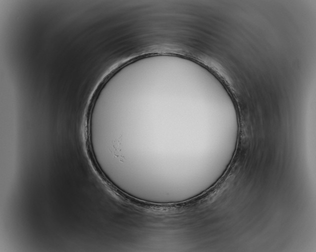 X0000093481040200710120951