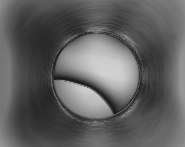 X0000093481041200710120951