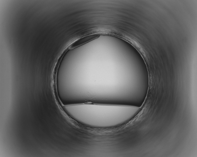 X0000093481042200710120951