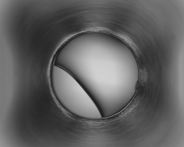 X0000093481046200710120951