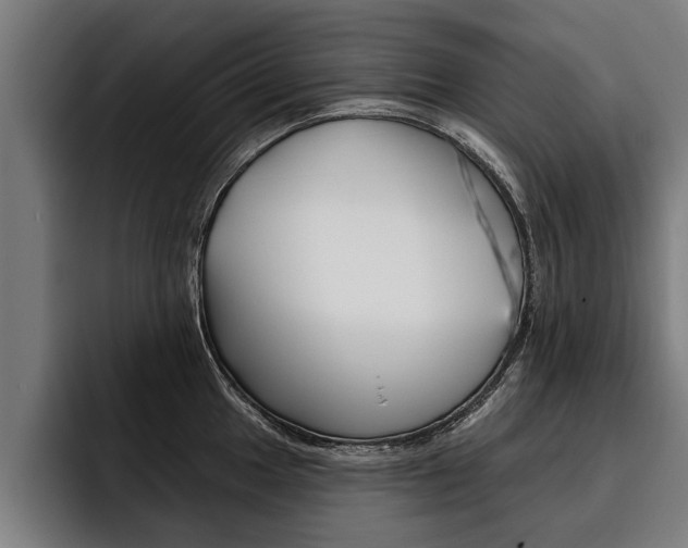 X0000093481049200710120951