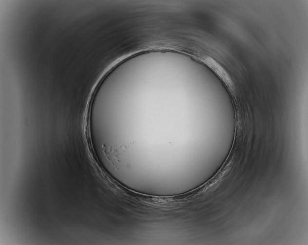 X0000093481052200710120951