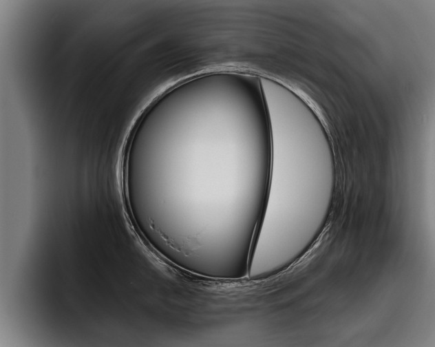 X0000093481054200710120951