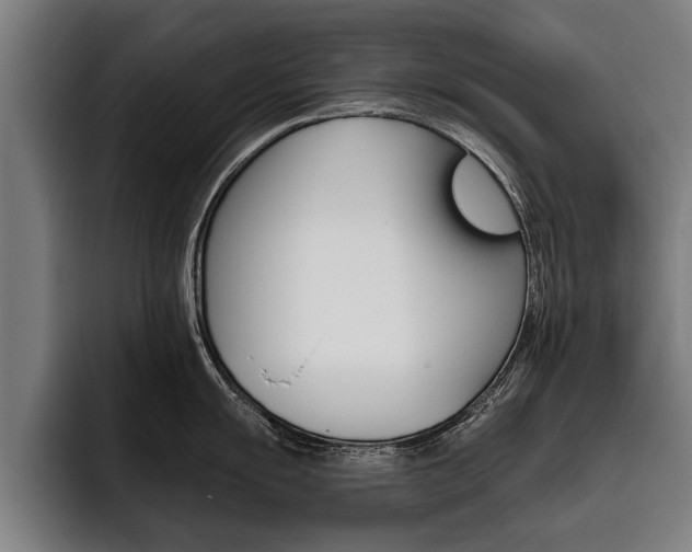 X0000093481055200710120951