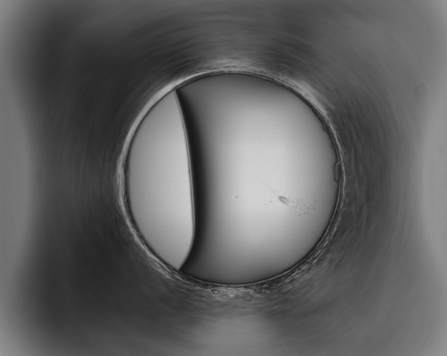 X0000093481056200710120951