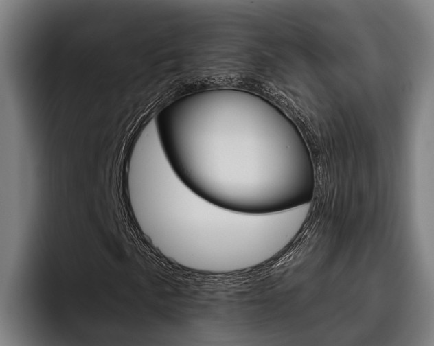 X0000093481057200710120950