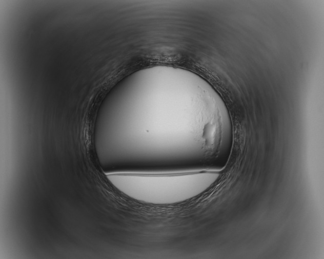 X0000093481058200710120950