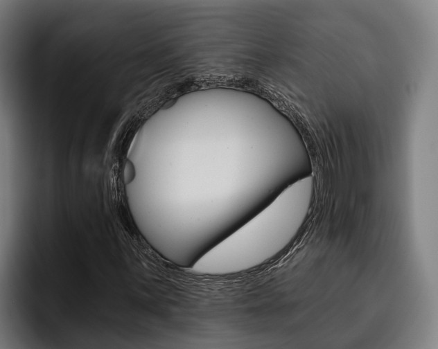 X0000093481059200710120950