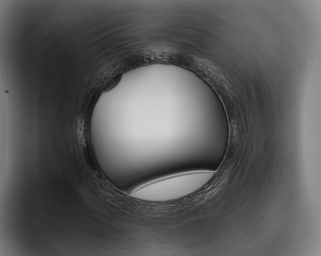 X0000093481060200710120950