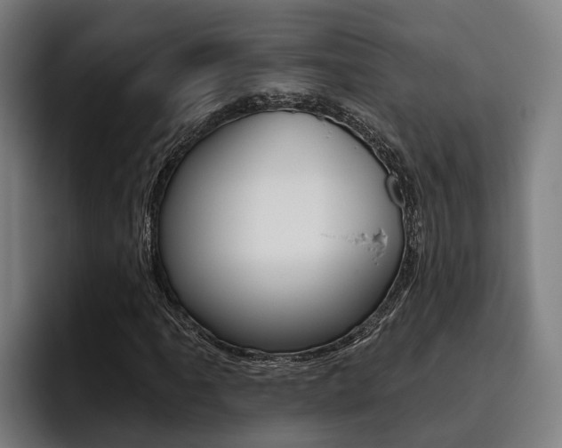 X0000093481061200710120950
